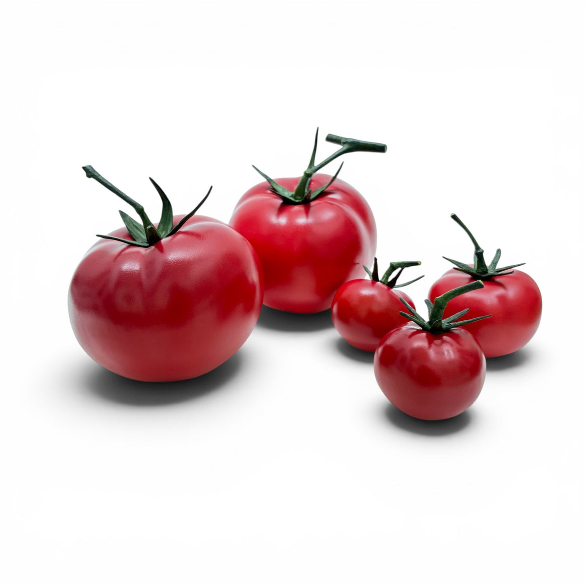 Naturwunder Collection Tomato