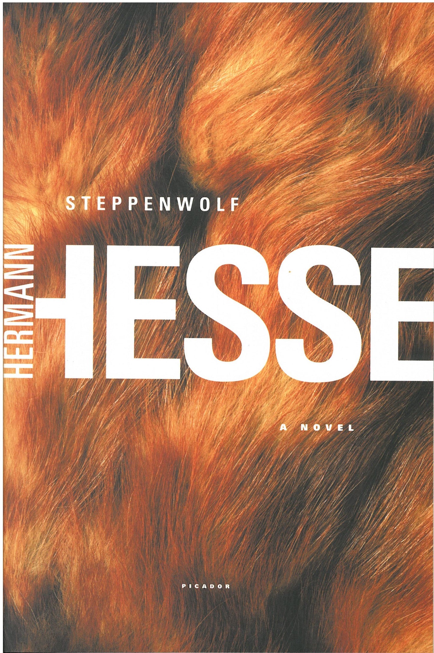 Steppenwolf by Hermann Hesse