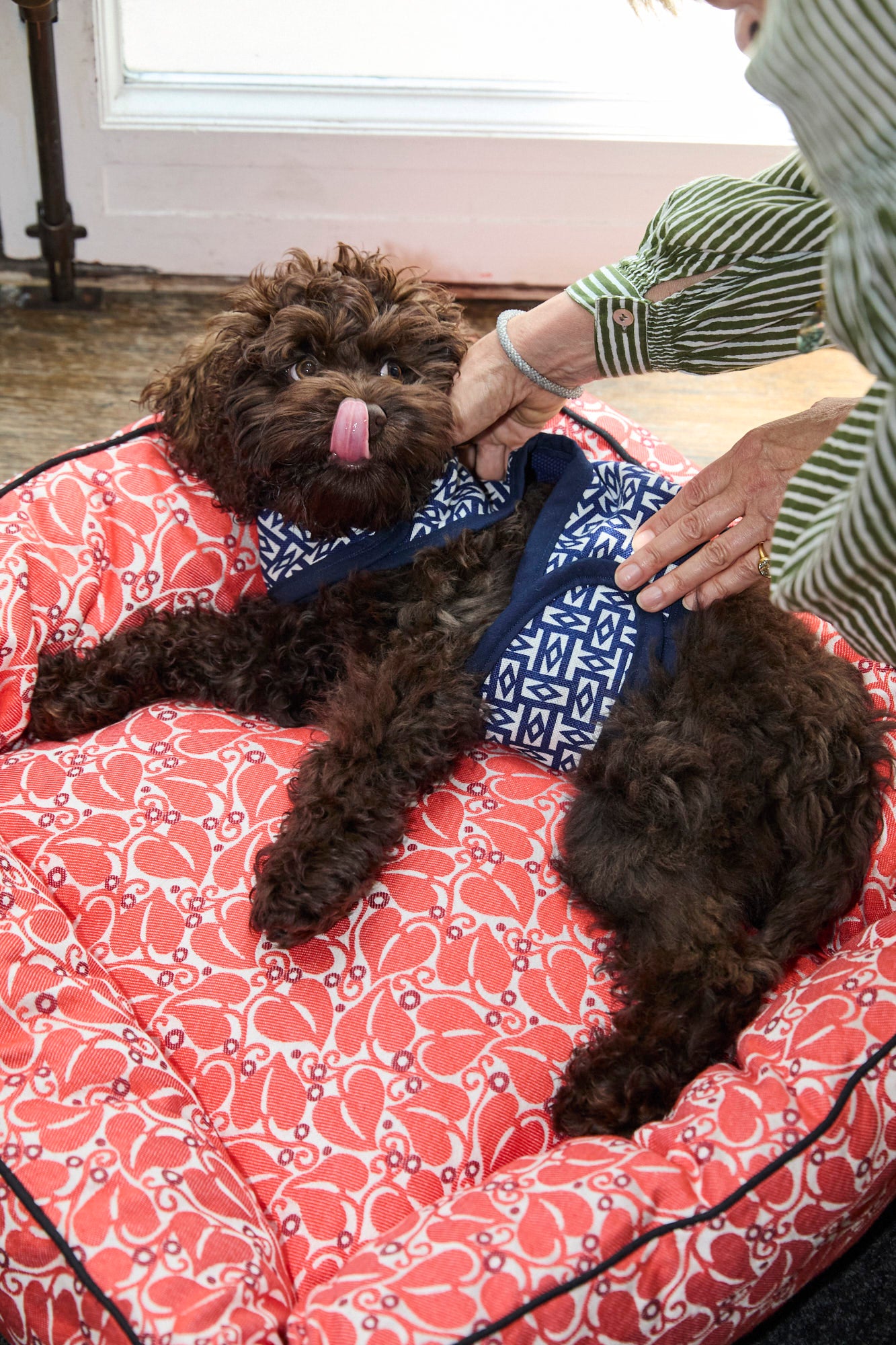 Neue Hund Red Leaf Daybed