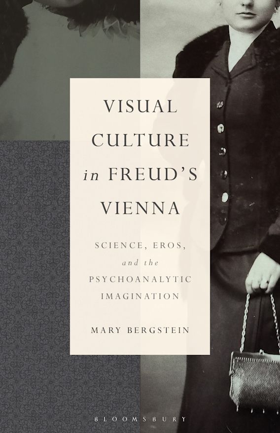Visual Culture in Freud's Vienna: Science, Eros, and the Psychoanalytic Imagination by Mary Bergstein