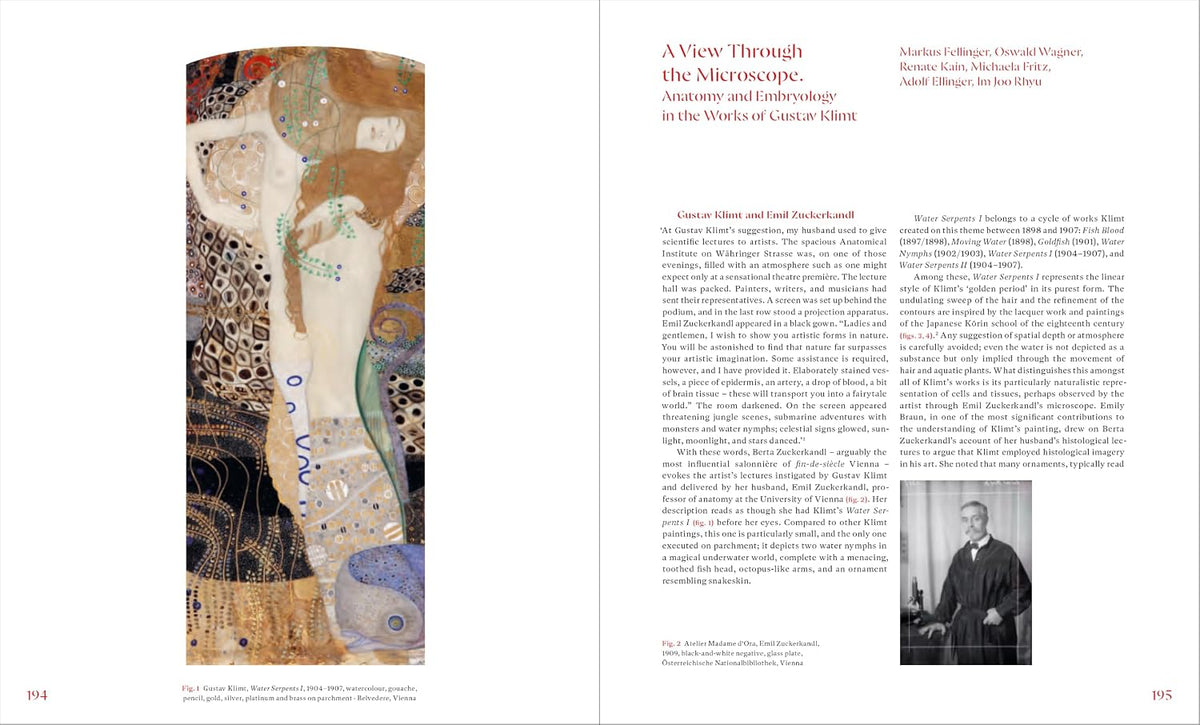 Gustav Klimt and Medicine: The Flow of Life By Tobias G. Natter, Christiane Druml and Markus Müller Inner Page