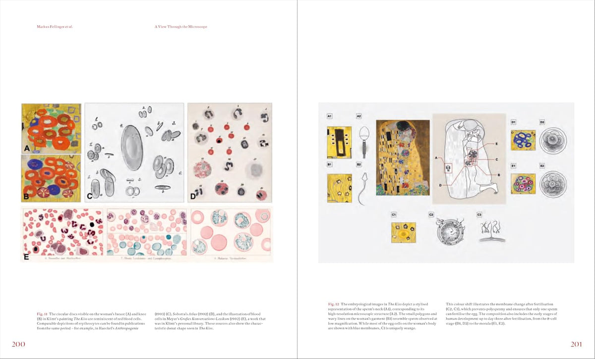 Gustav Klimt and Medicine: The Flow of Life By Tobias G. Natter, Christiane Druml and Markus Müller Inner Page
