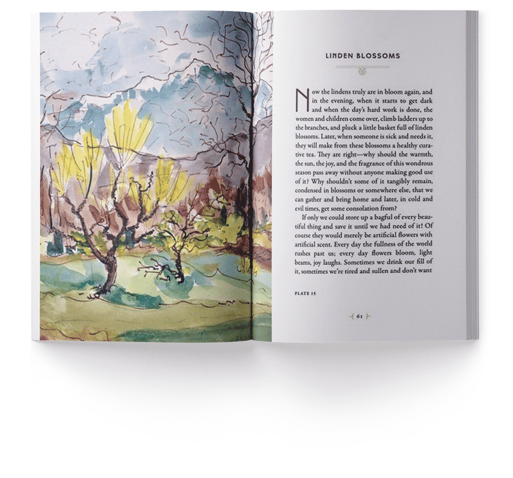 Trees: An Anthology of Writings and Paintings