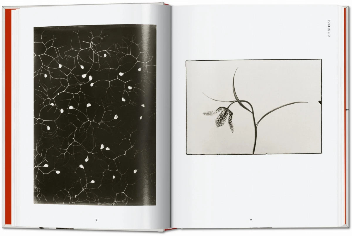 Karl Blossfeldt: The Complete Published Work. 40th Ed.