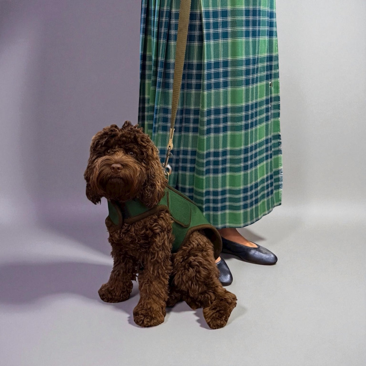 Neue Hund Winter Harness Coat