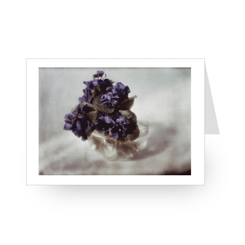 Heinrich Kühn: Still-Life with Violets, 1908 [Single Card]