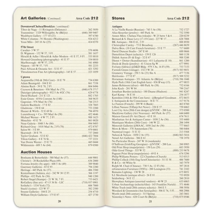 Neue Galerie Manhattan Diary 2027