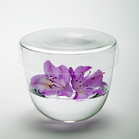 Alpha Bowl with Lid
