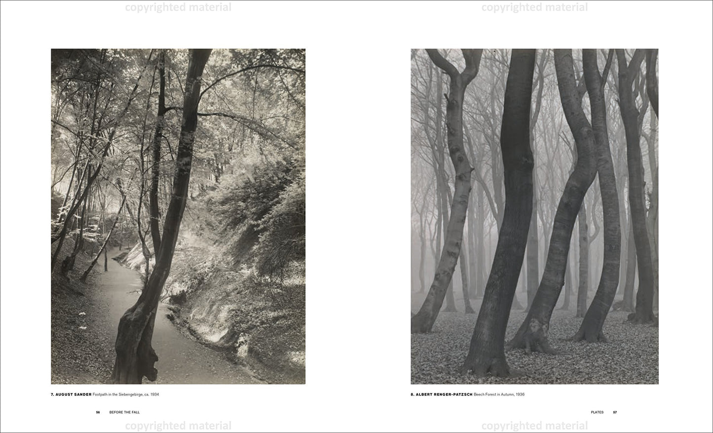 Before the Fall: German and Austrian Art of the 1930s, edited by Olaf Peters