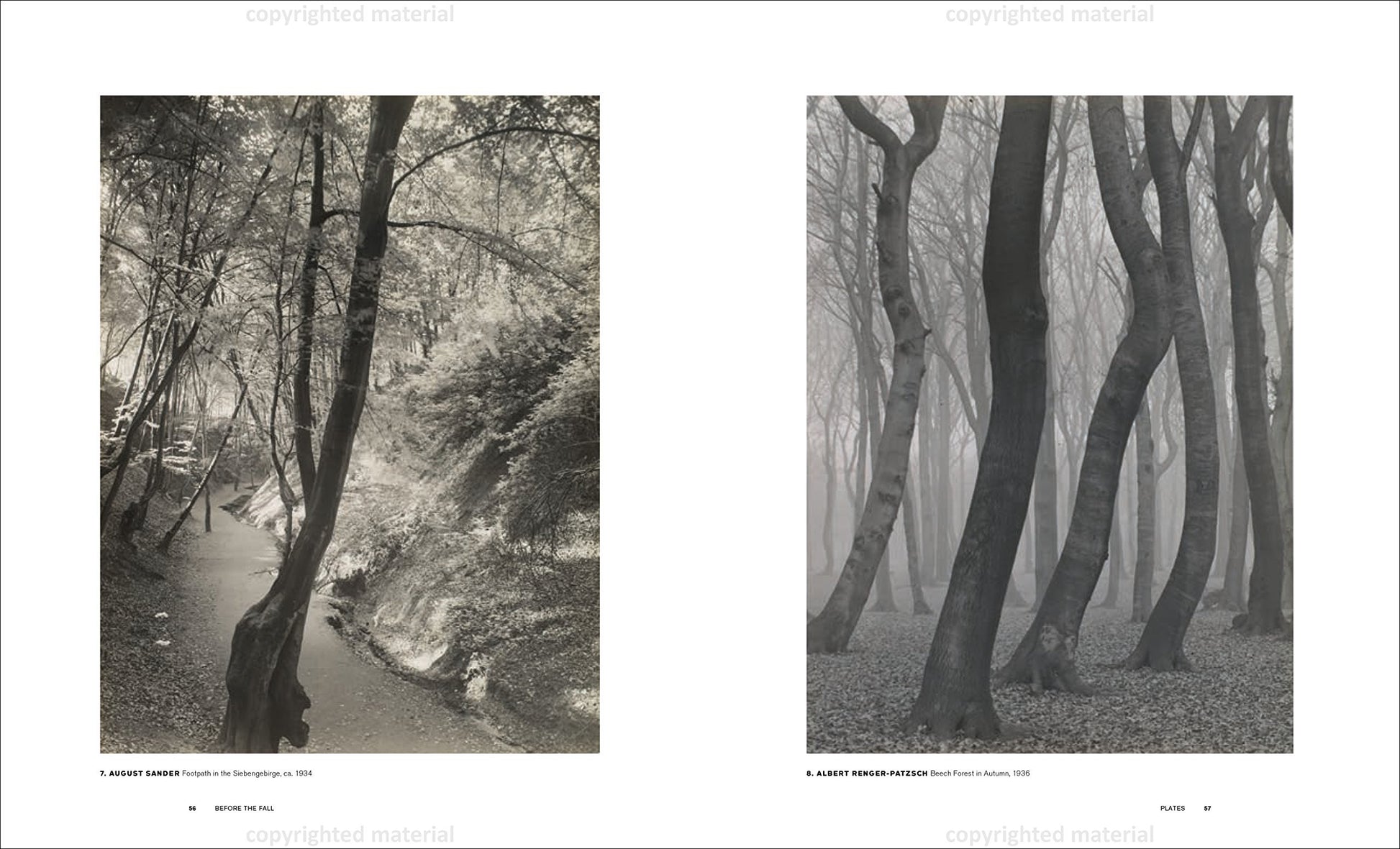 Before the Fall: German and Austrian Art of the 1930s, edited by Olaf Peters