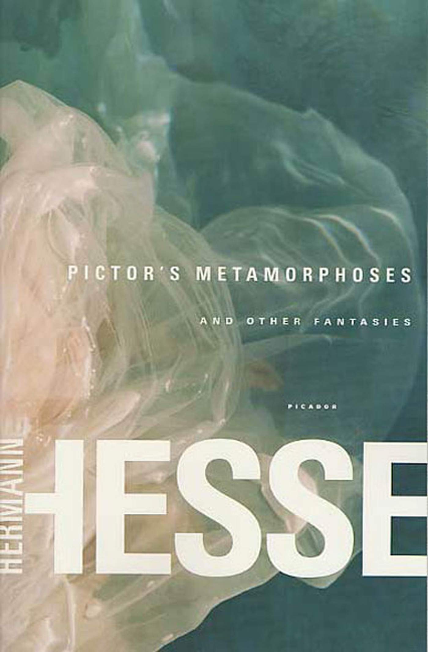 Pictor's Metamorphoses by Hermann Hesse