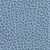 Light Blue Leather
