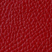 Red Leather