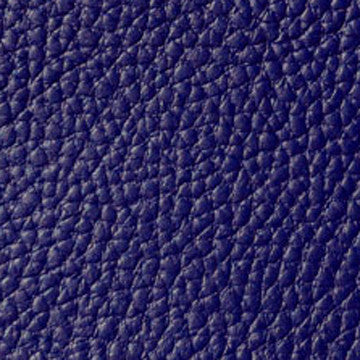 Blue Leather