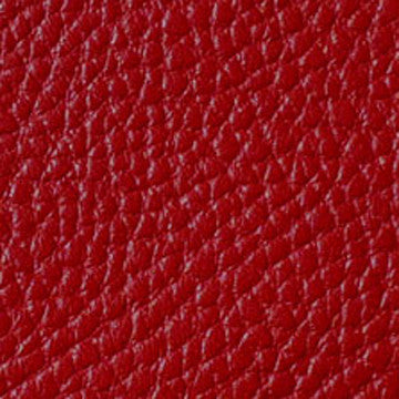 Red Leather