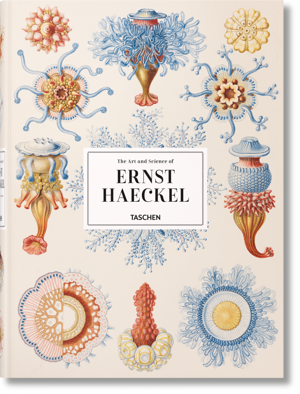 The Art and Science of Ernst Haeckel. By Rainer Willmann and Julia Voss.