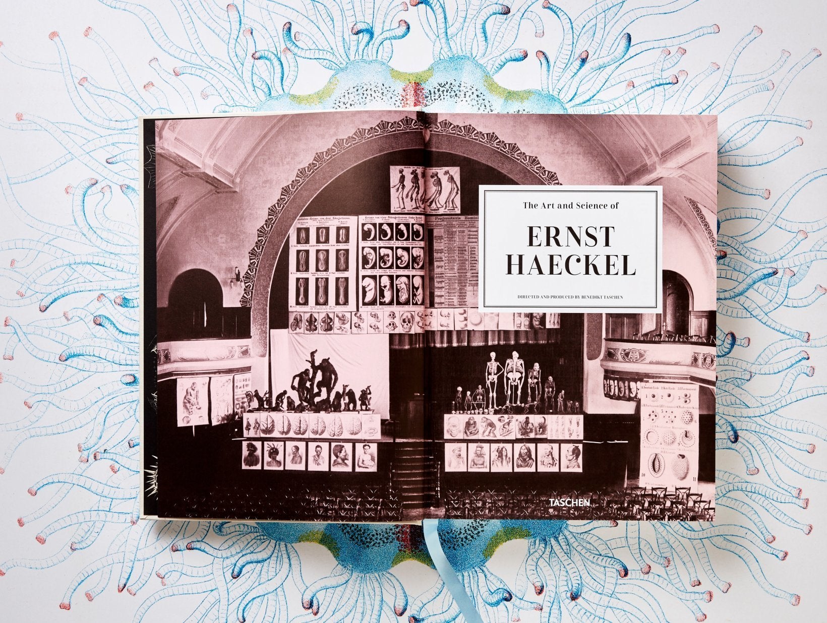 The Art and Science of Ernst Haeckel. By Rainer Willmann and Julia Voss.