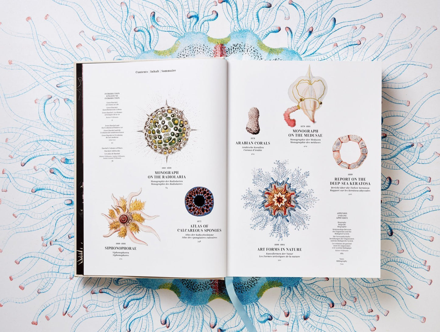 The Art and Science of Ernst Haeckel. By Rainer Willmann and Julia Voss.