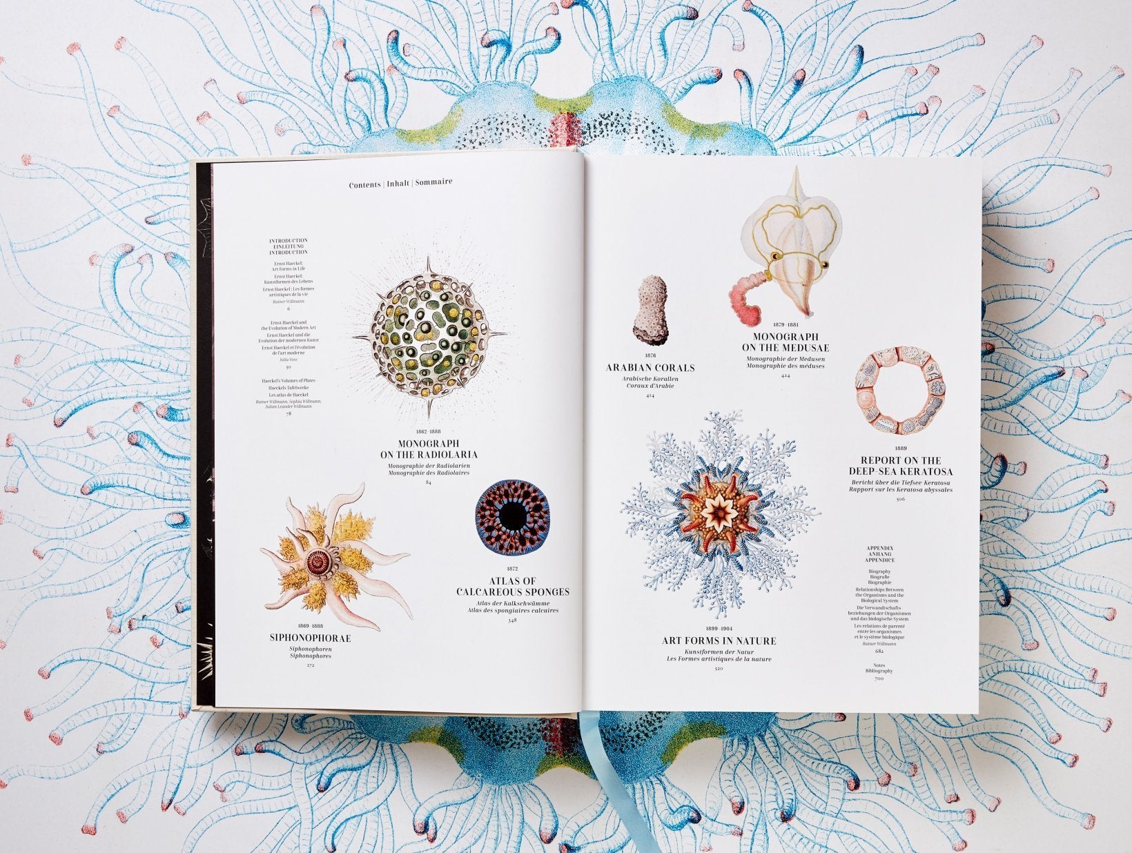The Art and Science of Ernst Haeckel. By Rainer Willmann and Julia Voss.