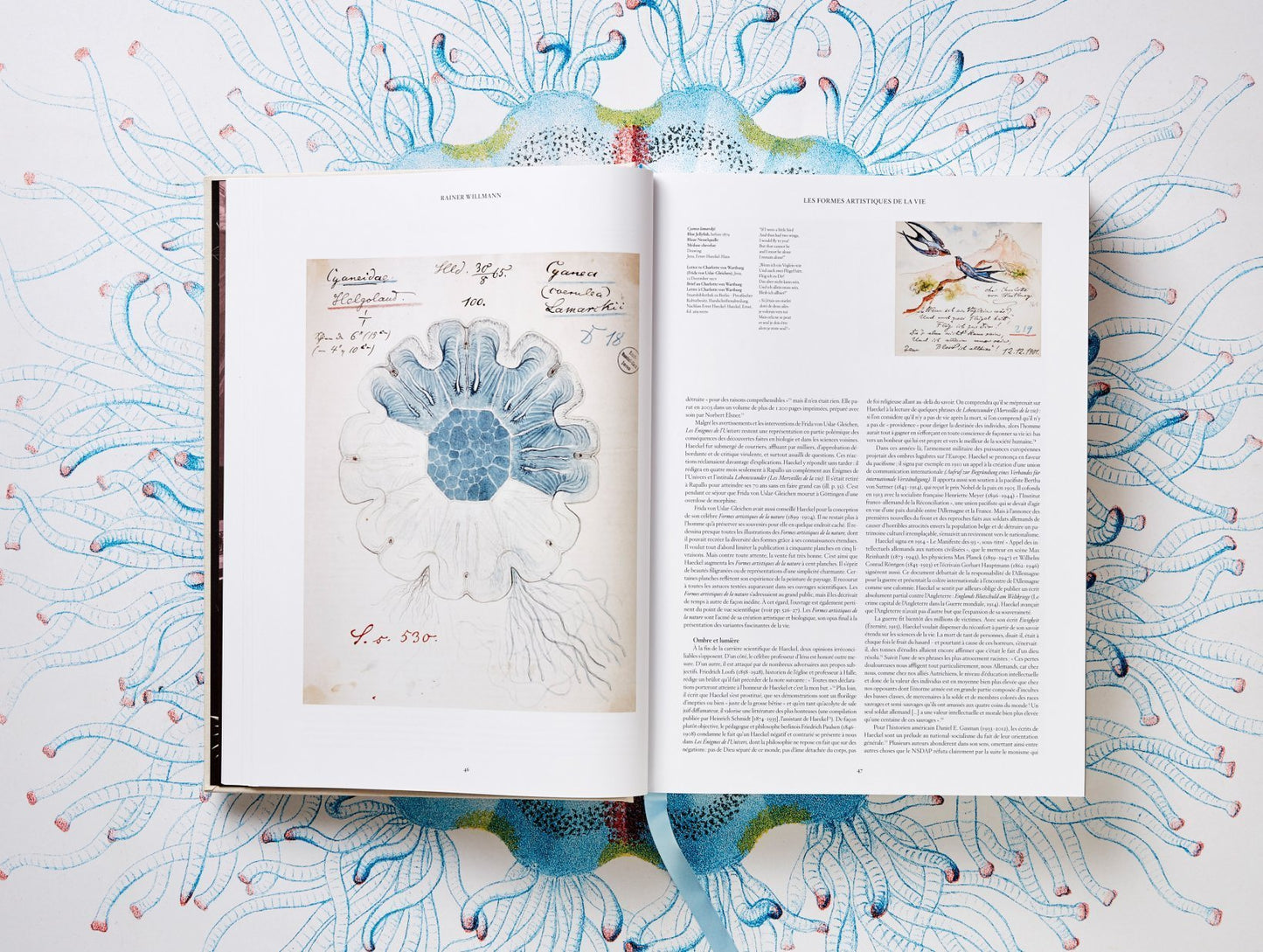 The Art and Science of Ernst Haeckel. By Rainer Willmann and Julia Voss.