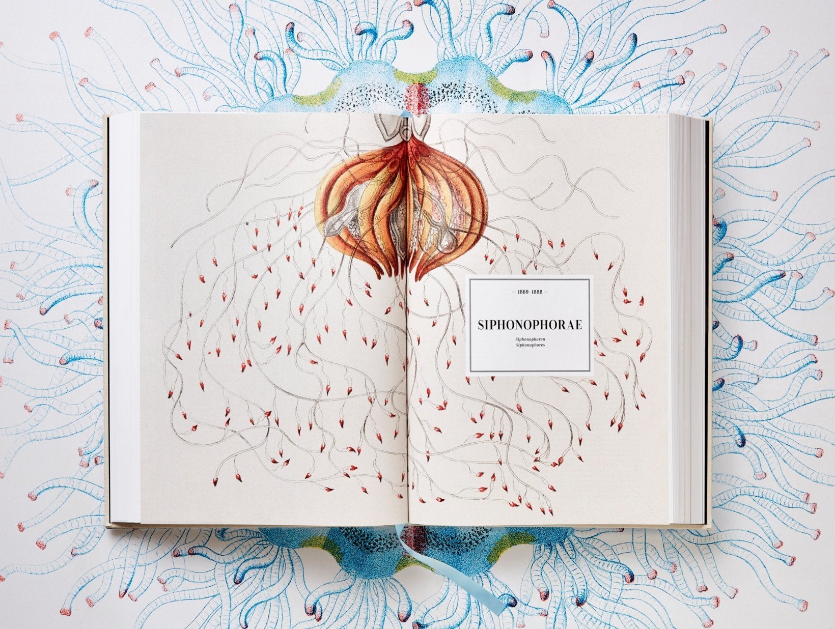 The Art and Science of Ernst Haeckel. By Rainer Willmann and Julia Voss.