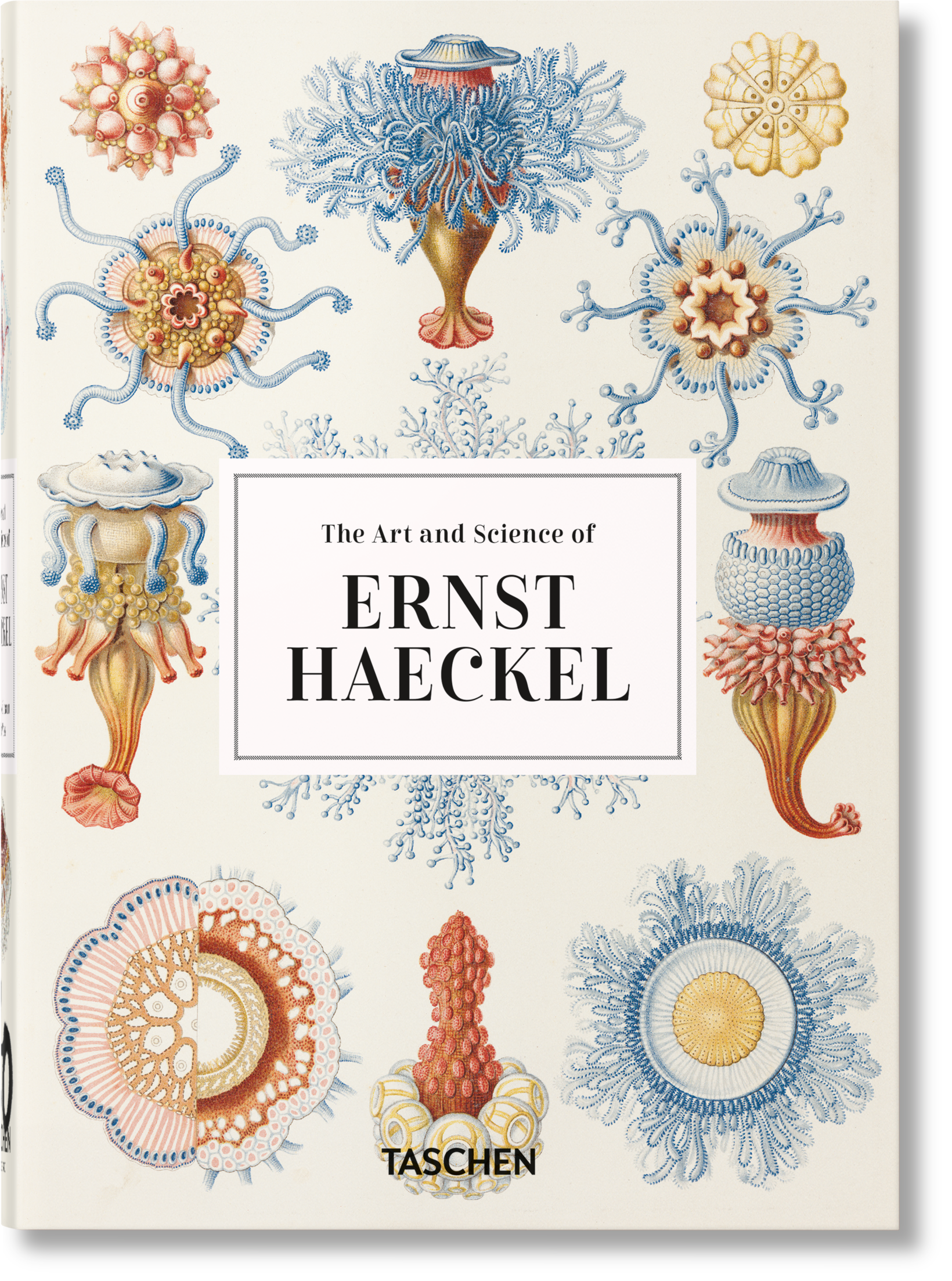The Art and Science of Ernst Haeckel. 40th Anniversary Edition By Rainer Willmann and Julia Voss