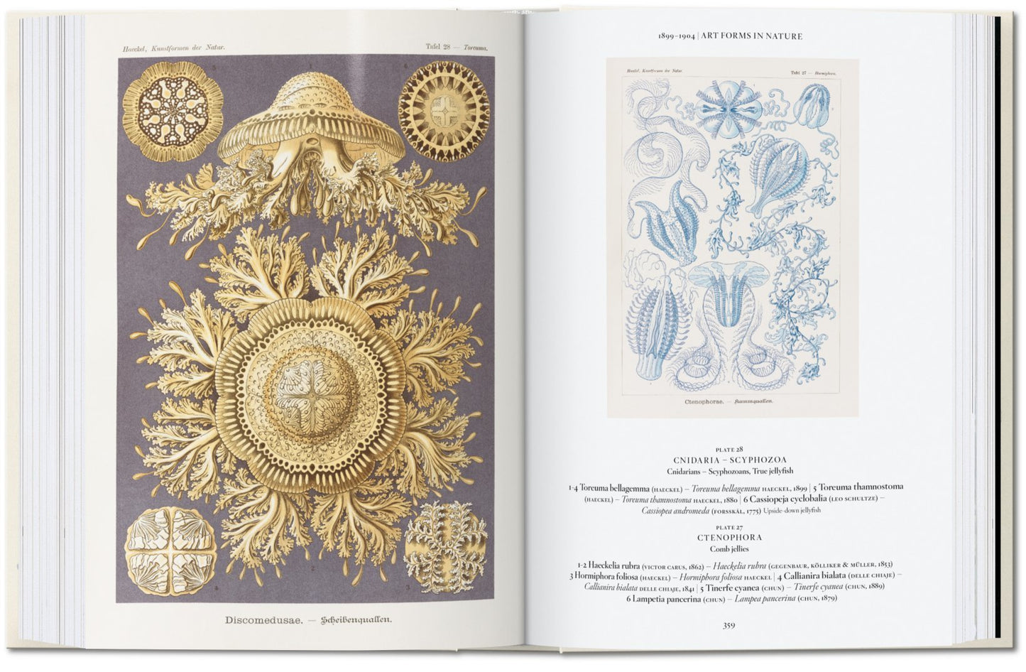 The Art and Science of Ernst Haeckel. 40th Anniversary Edition By Rainer Willmann and Julia Voss