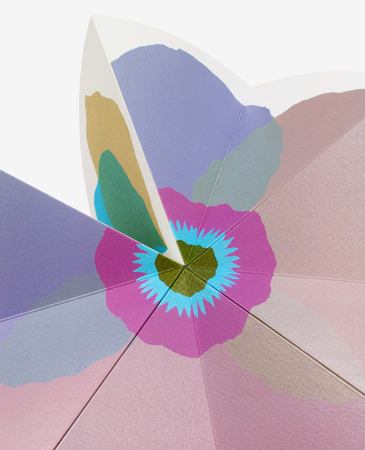 Bloom