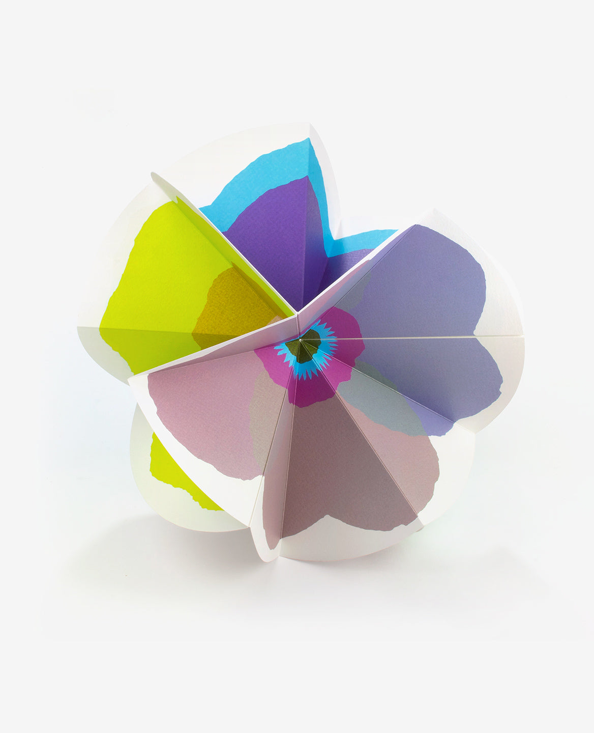 Bloom
