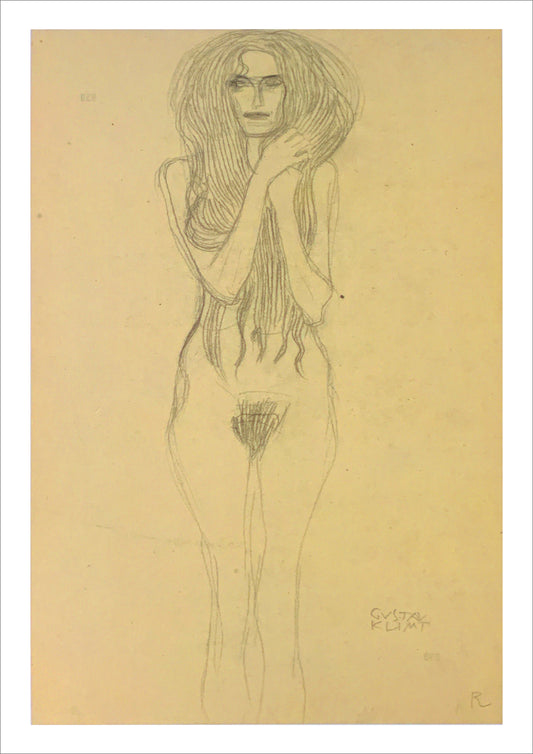 Gustav Klimt: Female Nude [Postcard]