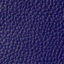Blue Leather