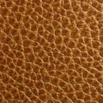 Camel Leather